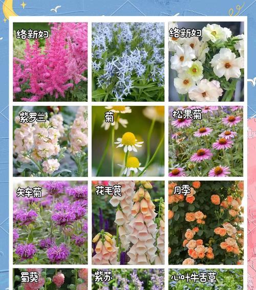 当前季节有哪些流行的花卉？这些花卉有何特点？