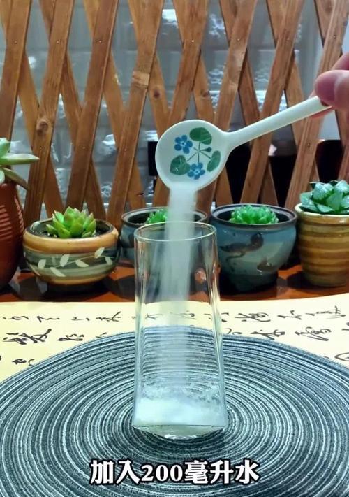 绿叶植物黄叶了怎么办？最快补救方法是什么？
