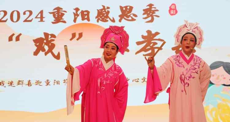 越剧音乐与花卉搭配有哪些经典歌曲？如何选择合适的音乐？