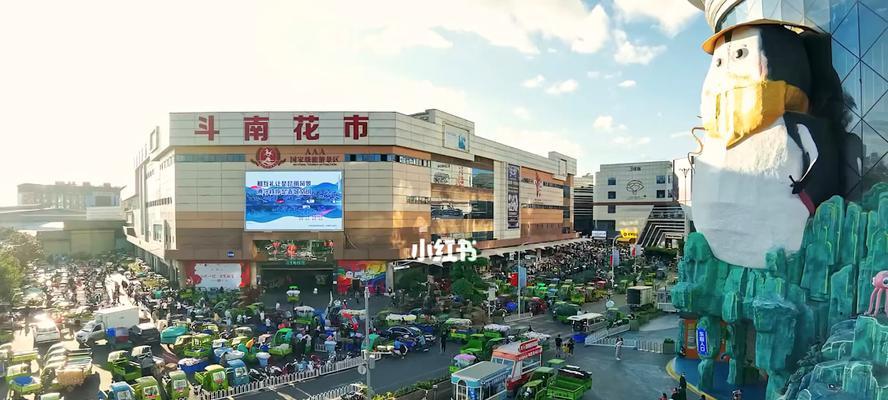 邵东花卉市场附近有哪些推荐酒店？如何选择？
