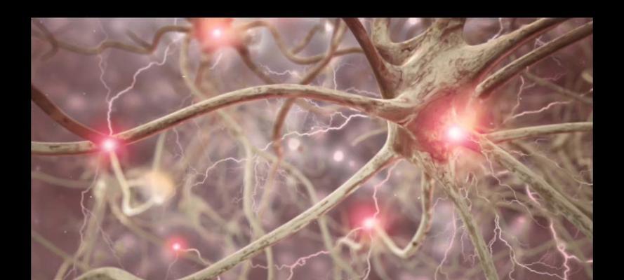 植物神经紊乱为何反复发作？如何有效缓解症状？