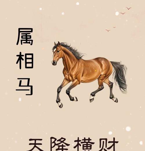属马的人适合养哪些招财植物？如何选择？