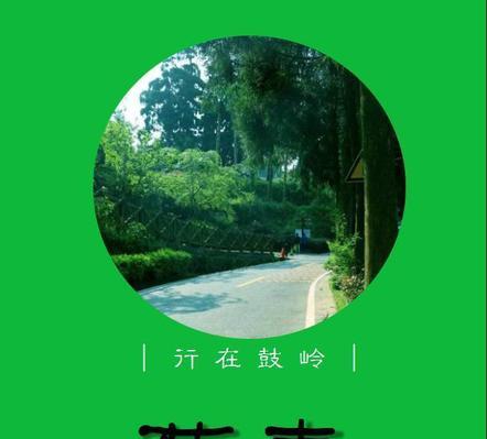 如何撰写植物大葱的名片？名片上应包含哪些信息？