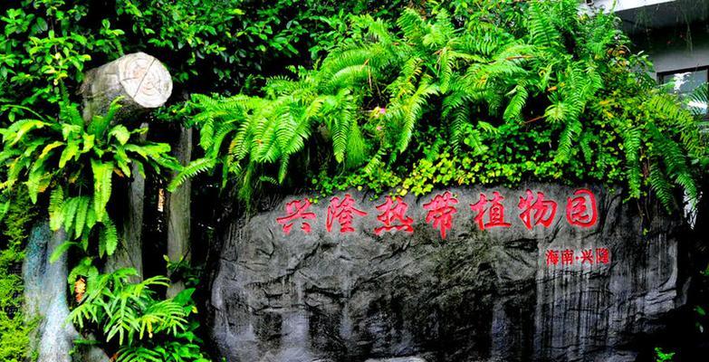 兴隆热带植物园的交通路线是什么？如何前往？