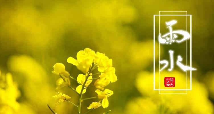 雨水节气适合种植哪些花卉？它们有什么特别之处？