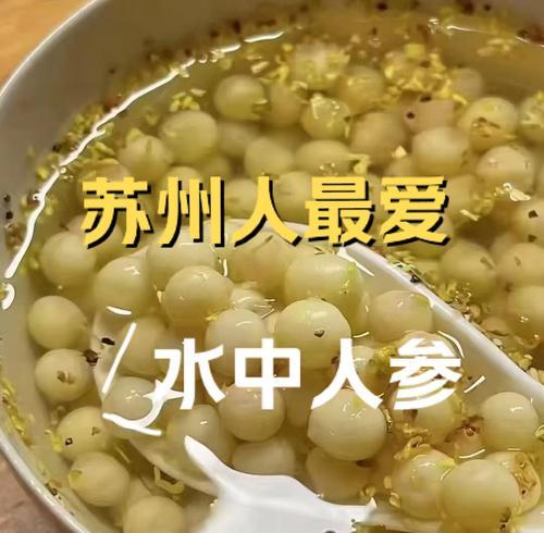 哪些水生植物含有丰富的碳水化合物？