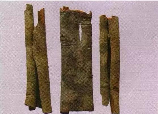 怎么保存植物表皮干燥？有哪些方法？