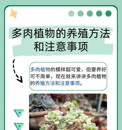 哪些植物有助于催孕？它们的养护方法是什么？