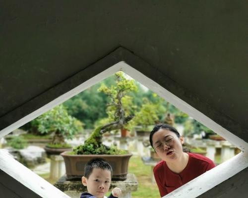 植物园搬进店要多久时间？需要哪些准备工作？