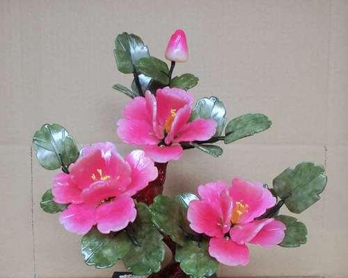 酒柜盆栽花卉有哪些？它们的摆放技巧是什么？
