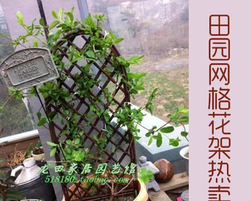 植物围栏如何获得？哪里可以购买或定制？