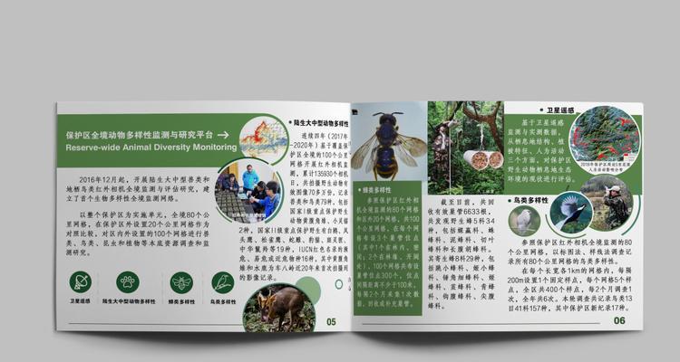 南非植物书籍有哪些推荐？这些书籍的内容特点是什么？