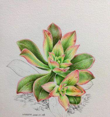 如何画出具有阳光感的植物背景？有哪些技巧？