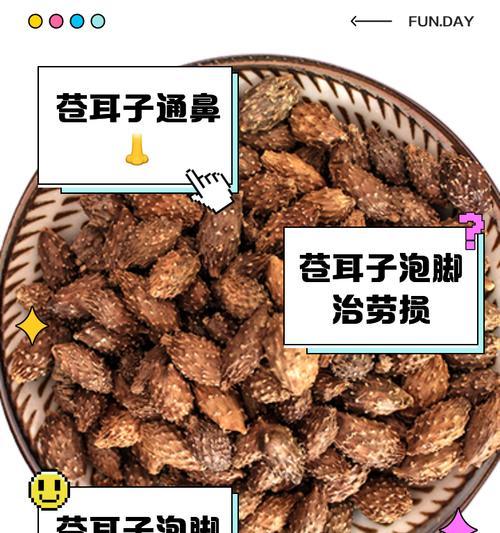 苍耳植物怎么治鼻炎？苍耳的药用价值有哪些？