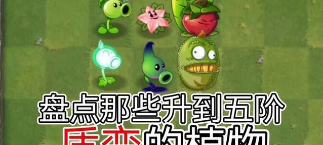 怎么样使植物升阶？有哪些方法可以提高植物的品质？