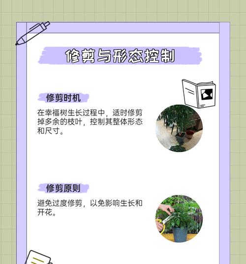 室外植物树的养护方法有哪些？如何确保其长期存活？