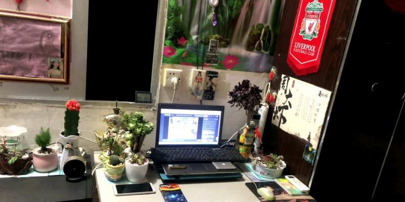 电脑桌适合放什么植物？它们有什么好处？