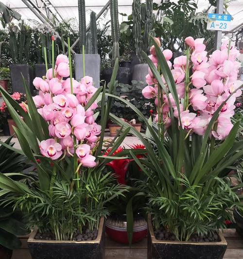 焦作花卉市场附近洗车店推荐？