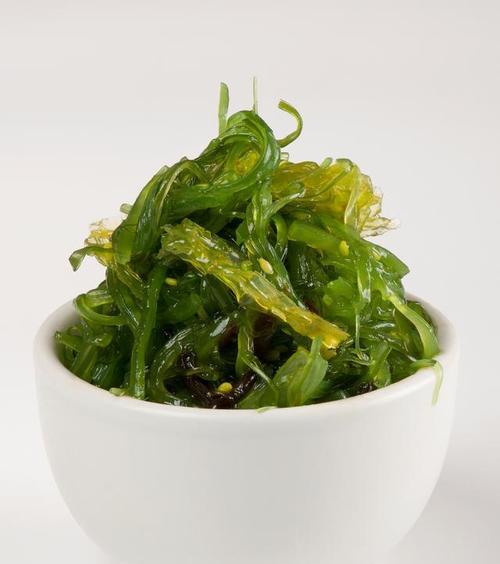 海带植物的最佳养护方法是什么？如何保证其生长质量？