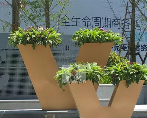 出口花卉制品有哪些？它们的市场前景如何？