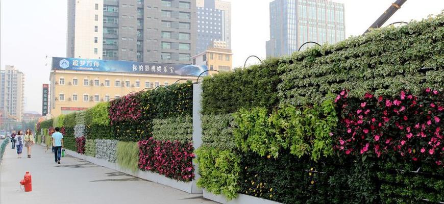 垂条植物花盆怎么种植？种植技巧和管理要点是什么？