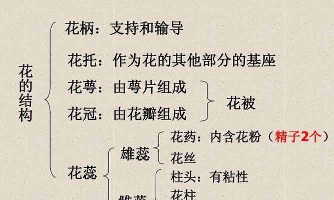 花卉类的分类方法是什么？