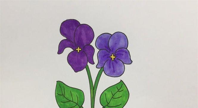 植物的样子如何正确绘制？有哪些绘画技巧？