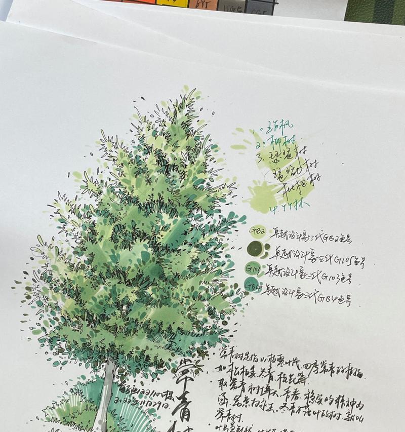 植物的样子如何正确绘制？有哪些绘画技巧？