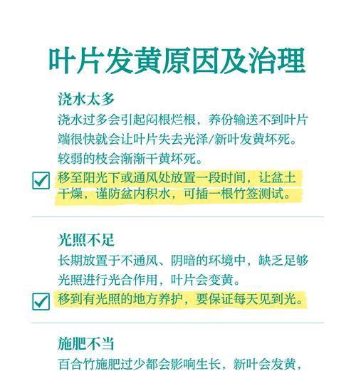 百合竹的最佳种植温度是多少？如何控制环境温度？