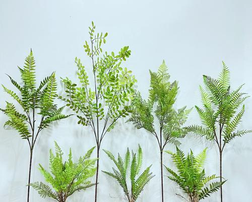 哪些植物摸起来手感好？经常摸的植物有什么好处？