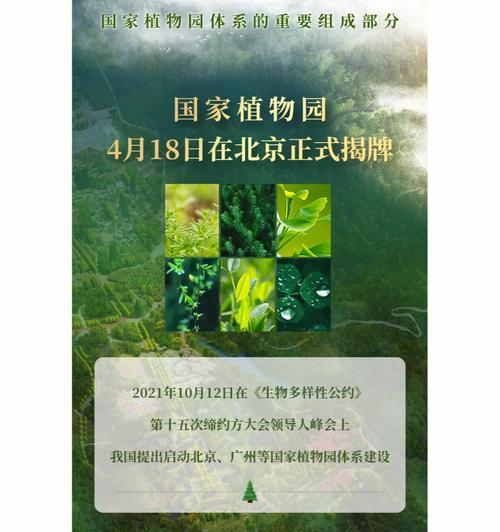 草本植物在植物园中通常分布在哪些楼层？