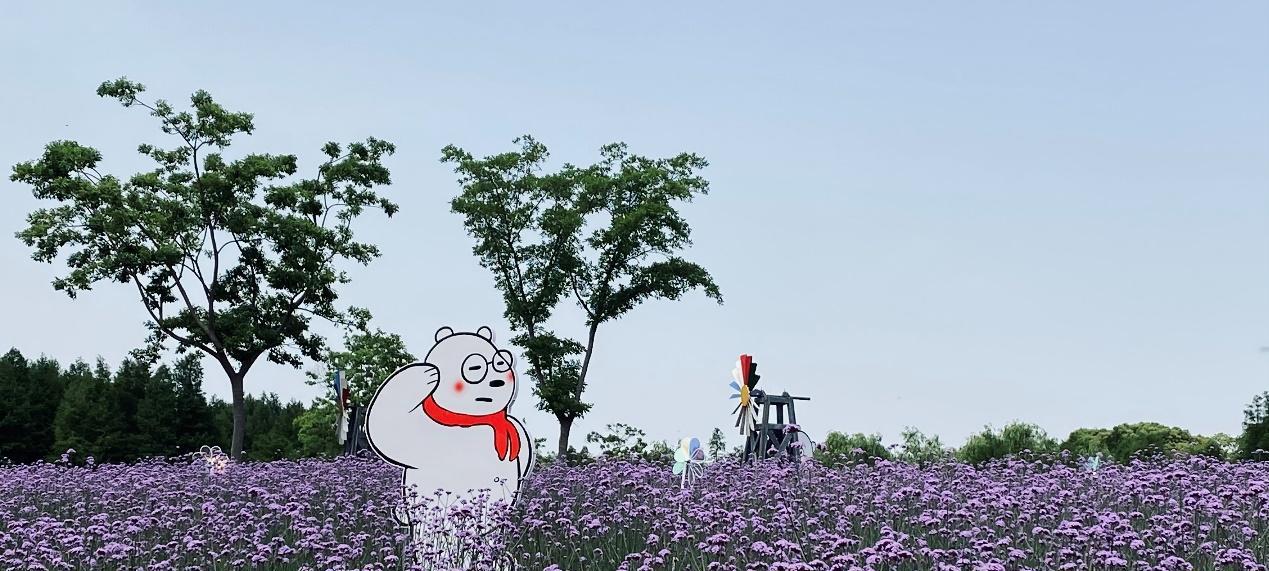 草本植物在植物园中通常分布在哪些楼层？