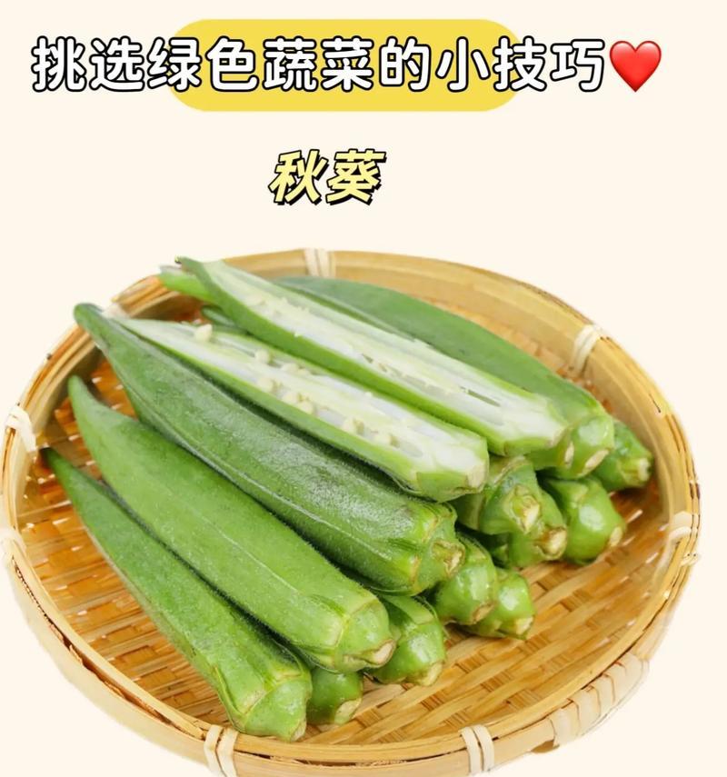 小草蔬菜植物有哪些名字？有哪些常见的蔬菜植物？