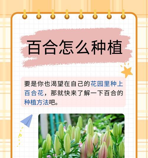 百合花大棚种植的标准条件是什么？