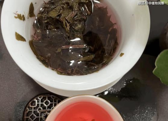 什么植物容易得肝病？室内植物有哪些可能影响健康？