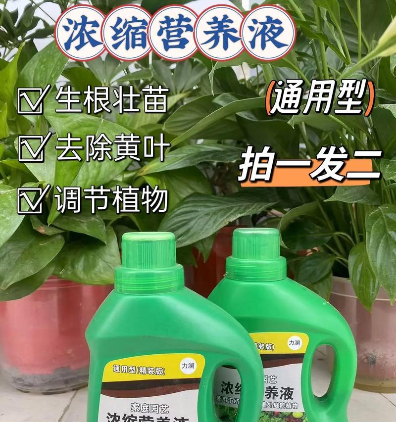 高档花卉营养液推荐？如何正确使用营养液？