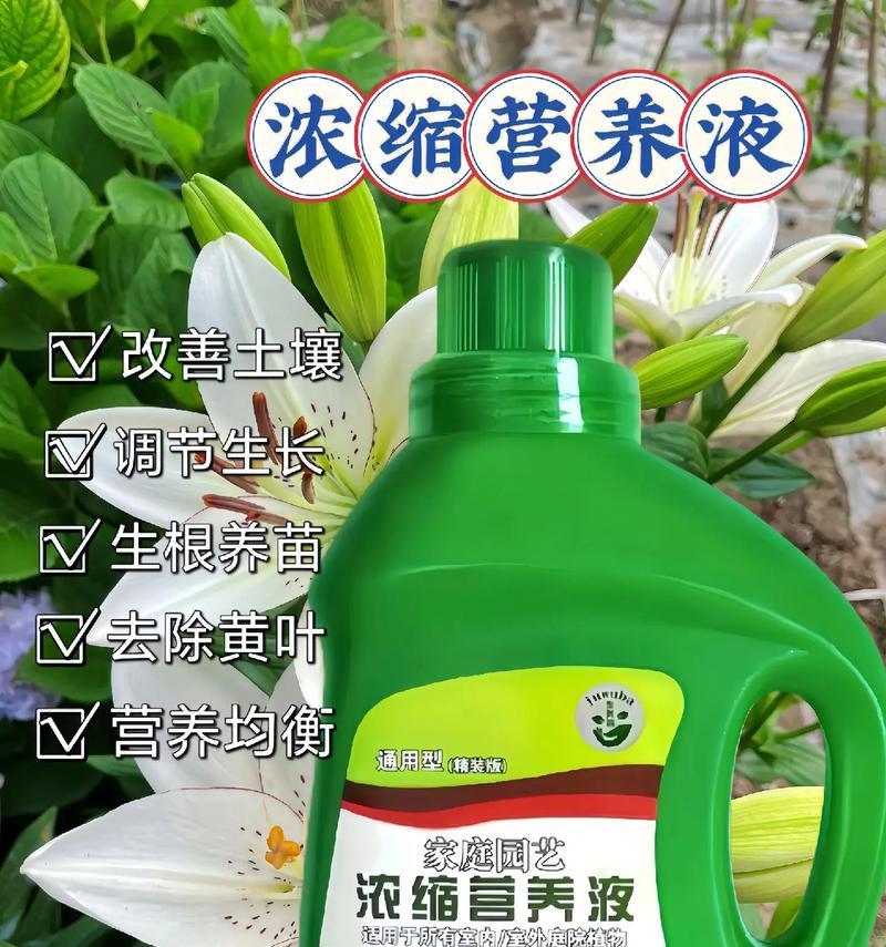 高档花卉营养液推荐？如何正确使用营养液？