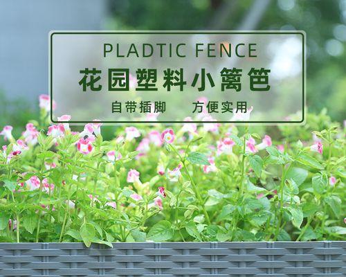 适合庭院围栏墙的花卉有哪些？如何选择和养护？