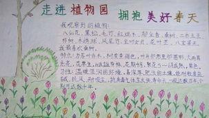 如何用简短的话表达爱护植物的重要性？有哪些好的建议？