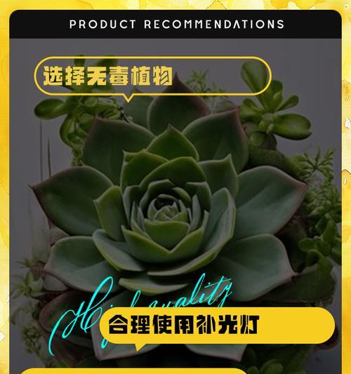 如何用简短的话表达爱护植物的重要性？有哪些好的建议？