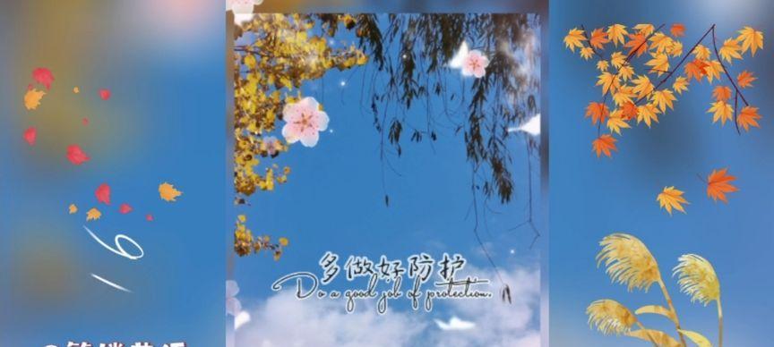 西瓜花语有哪些独特含义？