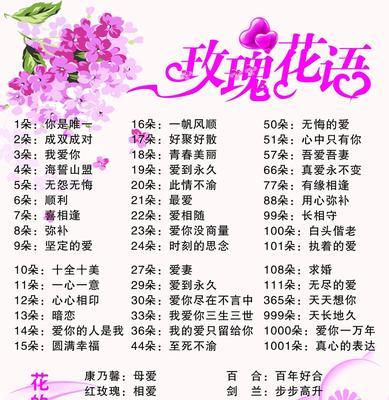 送玫瑰花数量不同代表什么意义？