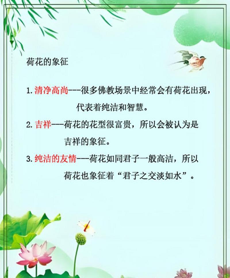 荷花除了美丽还有哪些花语和功效？