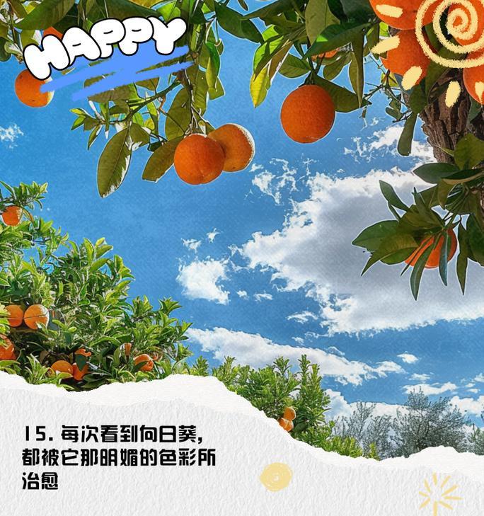 永远钟爱向日葵的花语是什么？向日葵花语中隐藏着怎样的情感？