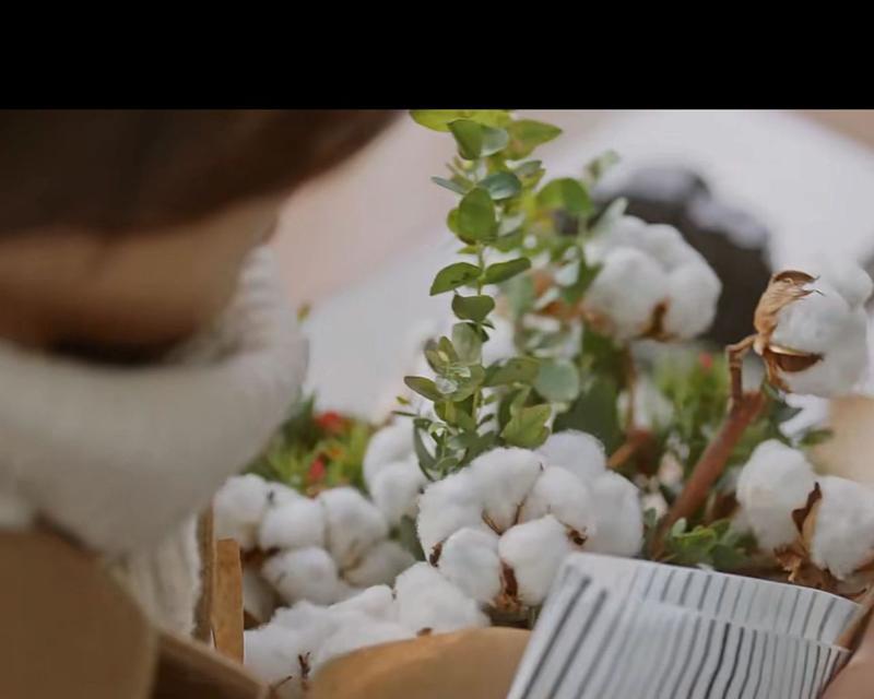 荞麦花的花语有何含义？鬼怪荞麦花的花语是什么？