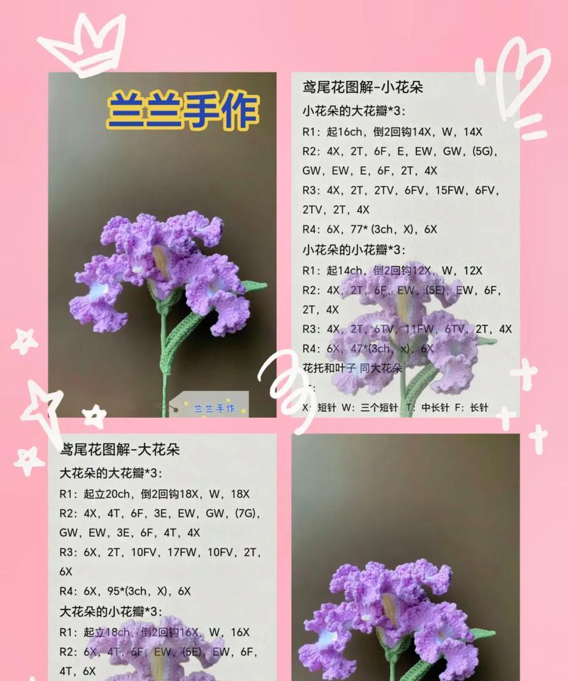 每种花的花语都有哪些不同？