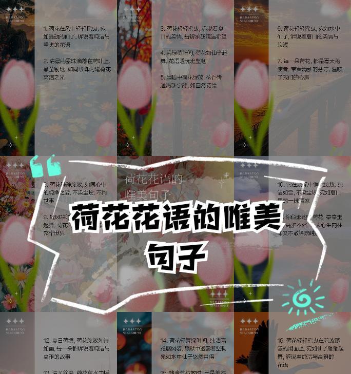 荷花不同颜色的花语有哪些？它们各自代表什么？