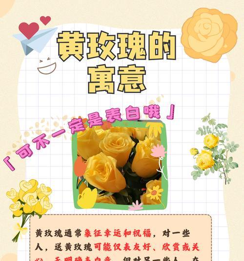 情人节表白时应选择哪种花语？