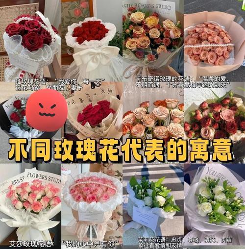 艾莎玫瑰代表什么花语和寓意？这种玫瑰在花语中有什么特别含义？