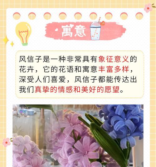 好美好艳的花语通常象征着什么？